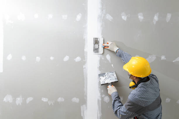  Kaukauna, WI Drywall & Painting Services Pros